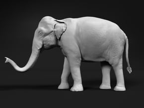 Indian Elephant 1:72 Standing Female 2 in Tan Fine Detail Plastic