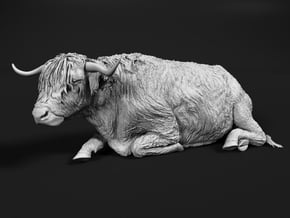 Highland Cattle 1:35 Lying Female in White Natural Versatile Plastic