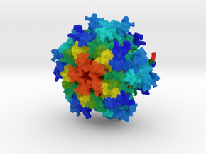 GTP Cyclohydrolase I in Natural Full Color Sandstone