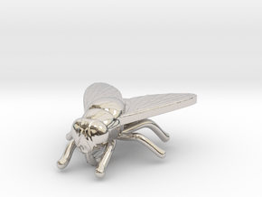 Fly Necklace in Platinum