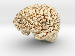 Human Brain Model (Small) in 14k Gold Plated Brass