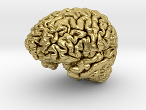 Human Brain Model (Small) in Natural Brass