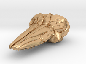Hector's Dolphin Skull Pendant in Natural Bronze