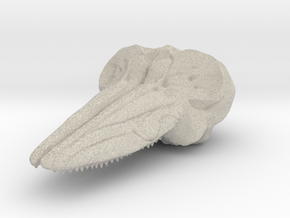Hector's Dolphin Skull Pendant in Natural Sandstone