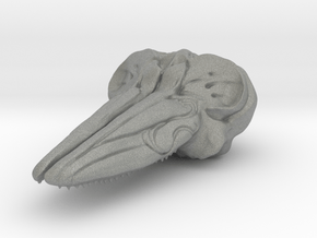 Hector's Dolphin Skull Pendant in Gray PA12