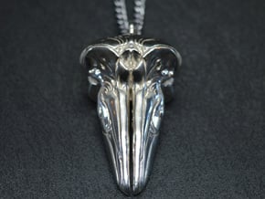 Hector's Dolphin Skull Pendant in Polished Silver