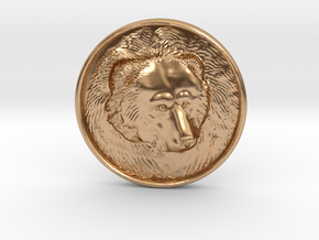 Grizzly Bear Coin in Polished Bronze