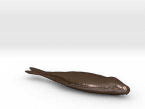 Fish 3d Scan in Polished Bronze Steel