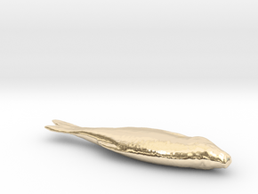 Fish 3d Scan in 14k Gold Plated Brass