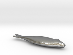 Fish 3d Scan in Natural Silver