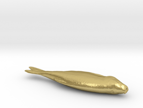 Fish 3d Scan in Natural Brass