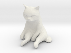 1/6 Grumpy Cute Cat Sitting in White Natural Versatile Plastic