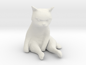 1/18 Grumpy Cute Cat Sitting in White Natural Versatile Plastic