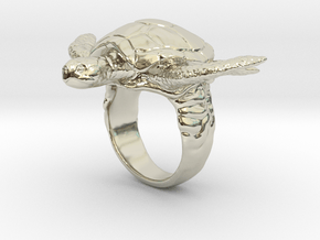 Turtle Ring in 14k White Gold: 7 / 54