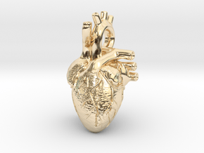 Anatomical Heart Pendant in 14K Yellow Gold