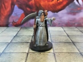 Human Death Cleric with Owl Familiar in Tan Fine Detail Plastic