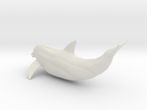 Printle Animal Dolphin - 1/24 in White Natural Versatile Plastic