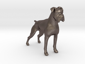 Brindle Boxer 1/24 in Polished Bronzed-Silver Steel