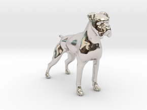 Brindle Boxer 1/24 in Rhodium Plated Brass