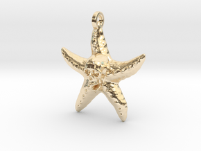 Star Fish Skull Final in 14k Gold Plated Brass