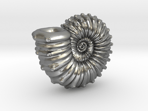 Ammonite in Natural Silver