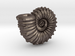 Ammonite in Polished Bronzed Silver Steel