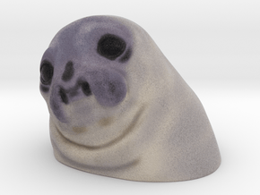 Awkward Moment Seal in Natural Full Color Sandstone