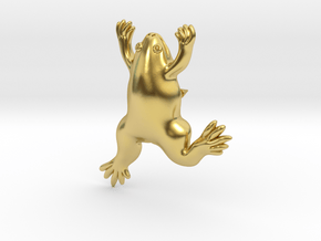 Xenopus Lapel Pin - Science Jewelry in Polished Brass