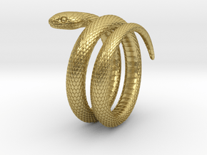 Snake Ring_R01 in Natural Brass: 5 / 49