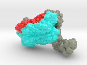 CCR5 protein model in Glossy Full Color Sandstone