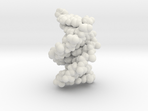 B-DNA in White Natural Versatile Plastic