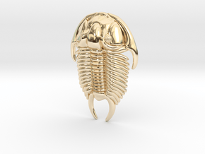 Tricrepicephalus Trilobite Pendant  in 14k Gold Plated Brass