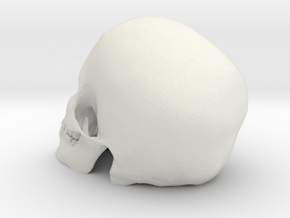 Detailed Skull in White Natural Versatile Plastic