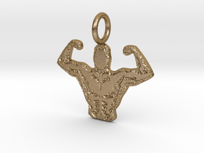 Body Builder in Polished Gold Steel