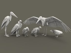 Scavenger Birds Set 1:160 six different pieces in Tan Fine Detail Plastic