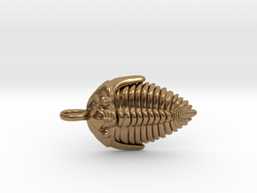 Trilobite Fossil Necklace in Natural Brass