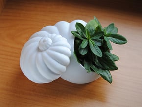 Shell Planter in White Natural Versatile Plastic