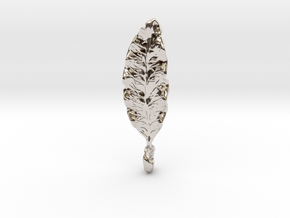 Lemonwood Leaf Pendant in Rhodium Plated Brass