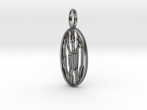 Chloroplast Pendant - Science Jewelry in Polished Silver