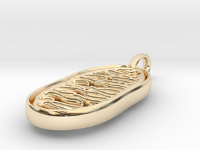 Mitochondrion Pendant in 14k Gold Plated Brass