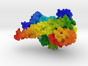 Yeast Ctf3 Complex in Natural Full Color Sandstone