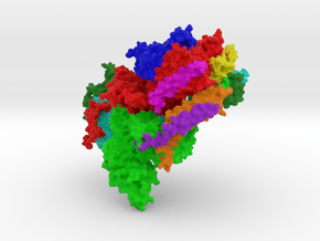 Human Oligosaccharyltransferase Complex OST-B in Natural Full Color Sandstone