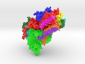 Oligosaccharyltransferase Complex OST-B (Large) in Glossy Full Color Sandstone