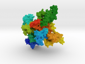 Cardiac Sodium Channel in Natural Full Color Sandstone