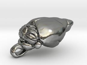 Mouse Brain Pendant (1:1, anatom. accurate) in Polished Silver
