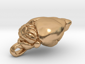 Mouse Brain Pendant (1:1, anatom. accurate) in Polished Bronze