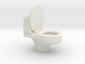 toilet in White Natural Versatile Plastic