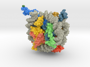 Nucleosome 1kx5 Methyl Groups in Glossy Full Color Sandstone: Extra Small