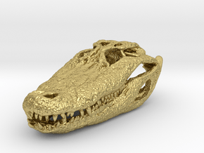 alligator skull 65mm in Natural Brass