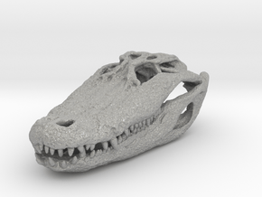 alligator skull 65mm in Aluminum